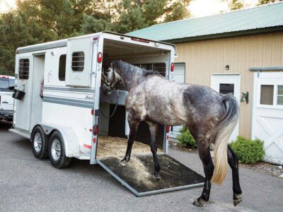 Horse Trailers