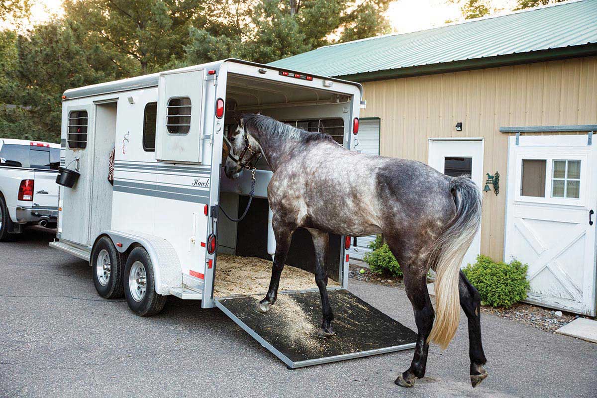 Horse Trailers